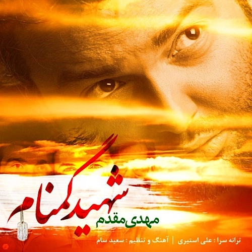 Shahide Gomnam by Mehdi Moghaddam