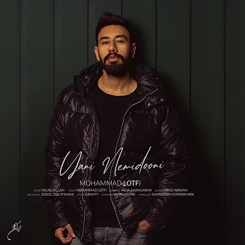 Yani Nemidooni by Mohammad Lotfi