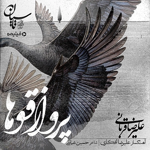 Parvaze Ghooha by Alireza Ghorbani