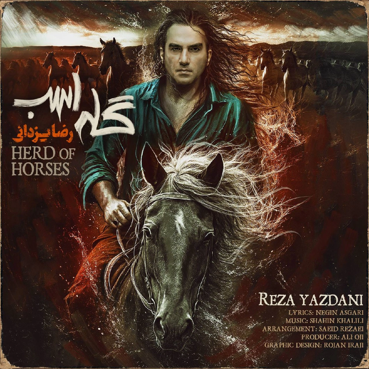 گله اسب رضا یزدانی
