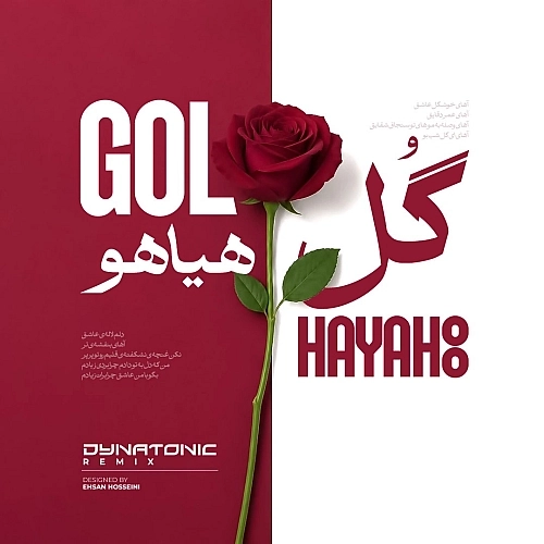 Gole Hayahoo (dynatonic Remix) by Fereydoun Asraei