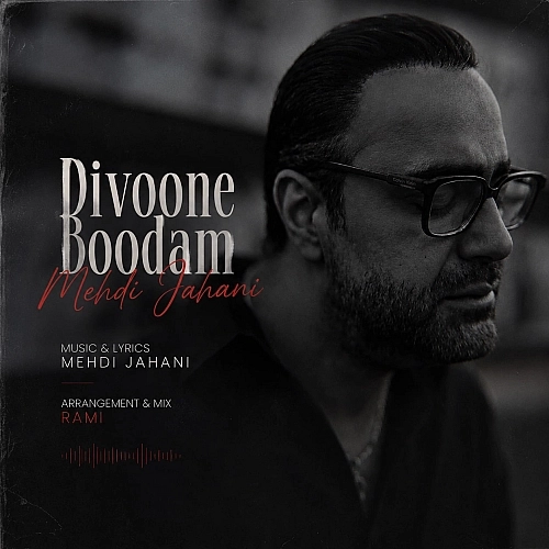 Divoone Boodam by Mehdi Jahani